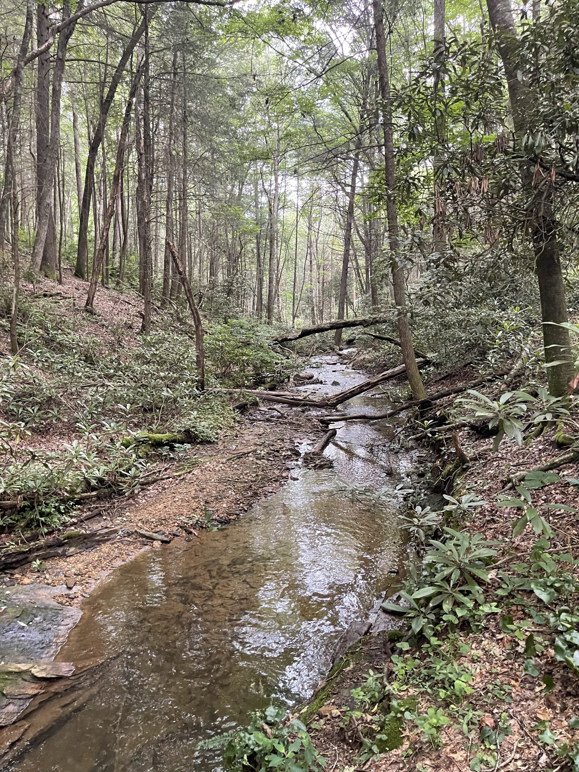 Camp at Justus Creek