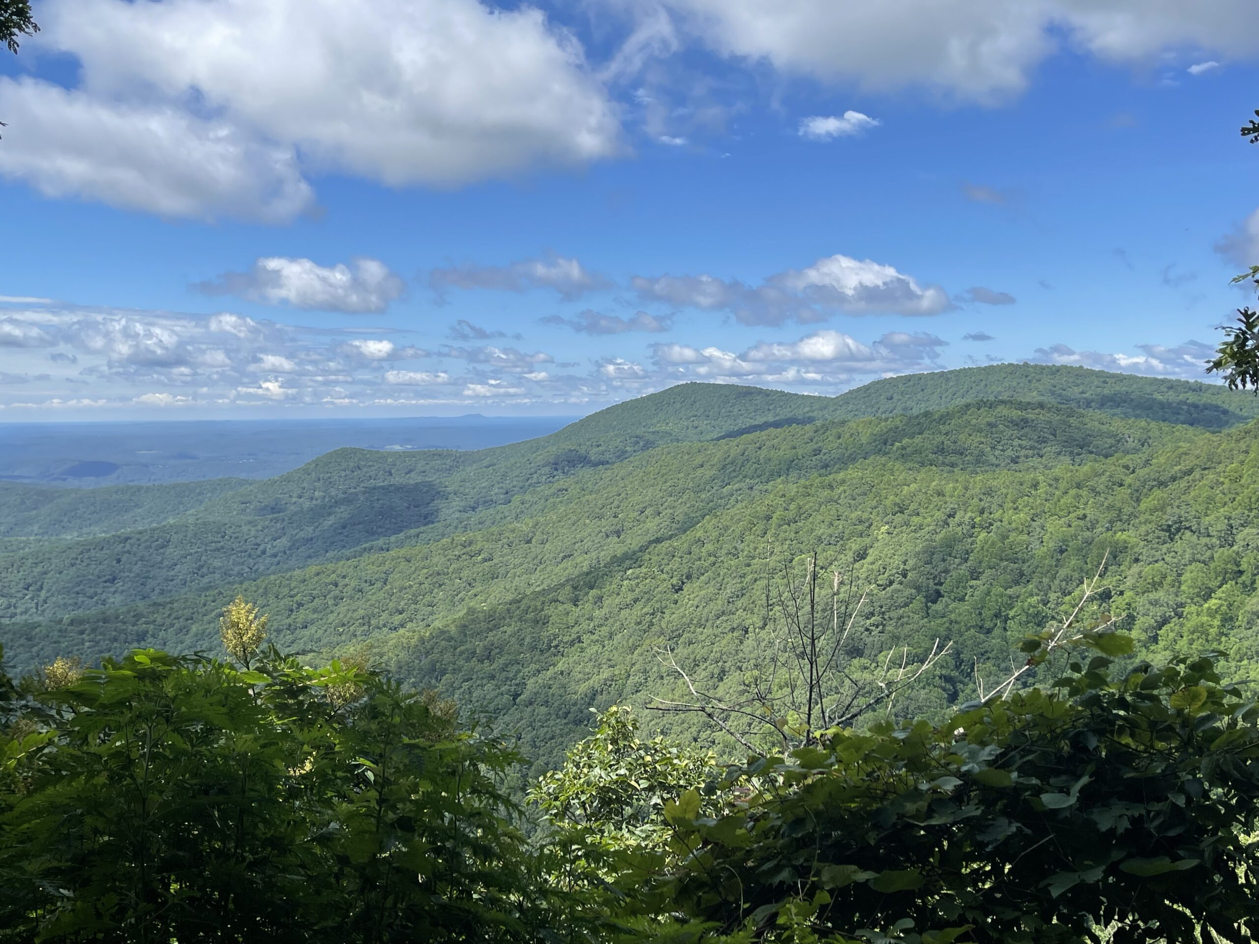 Lookout Near Woody Gap